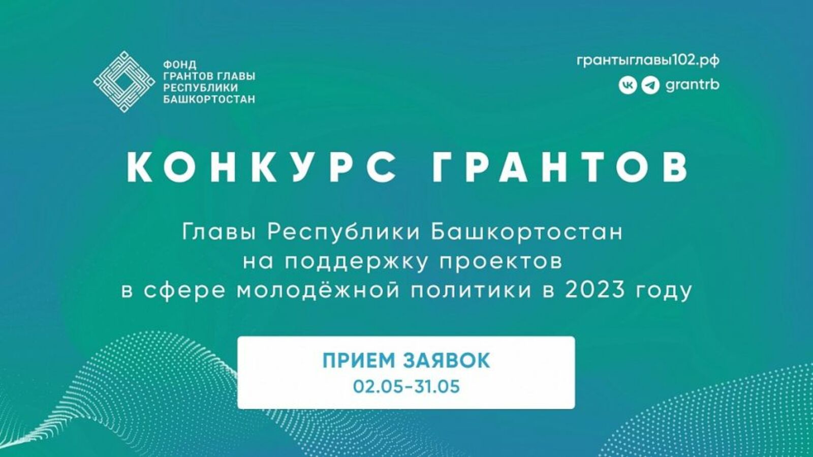 Стартовал конкурс грантов Главы Республики Башкортостан в сфере молодежной политики