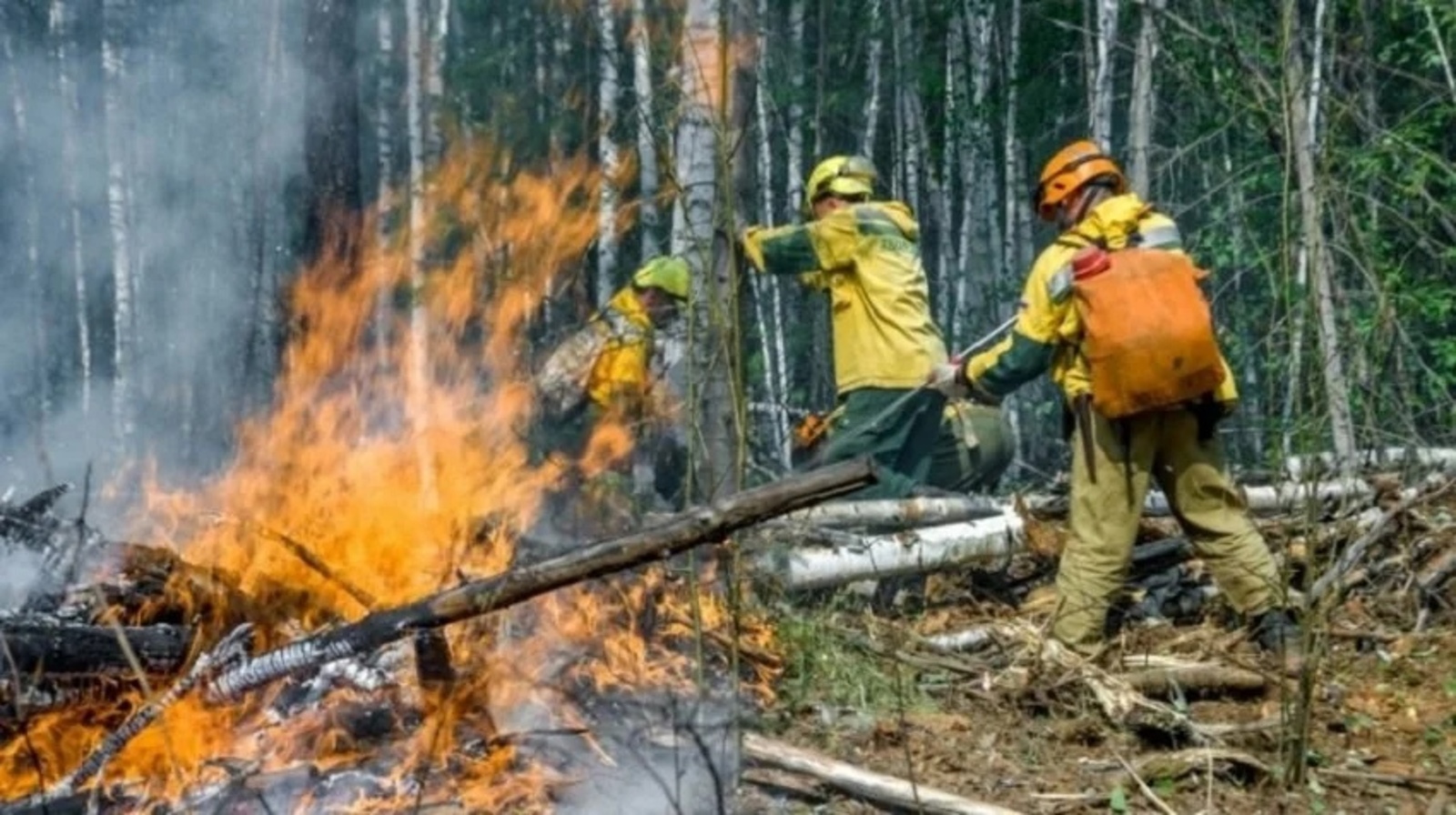 В Баймакском районе республики горит 6,1 гектара леса