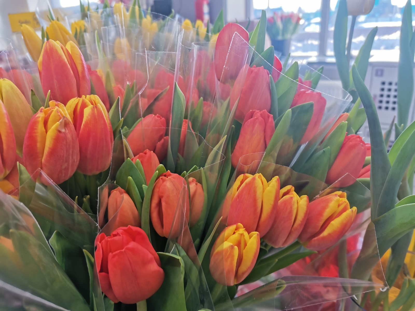 Будьте счастливы и окружены любовью!