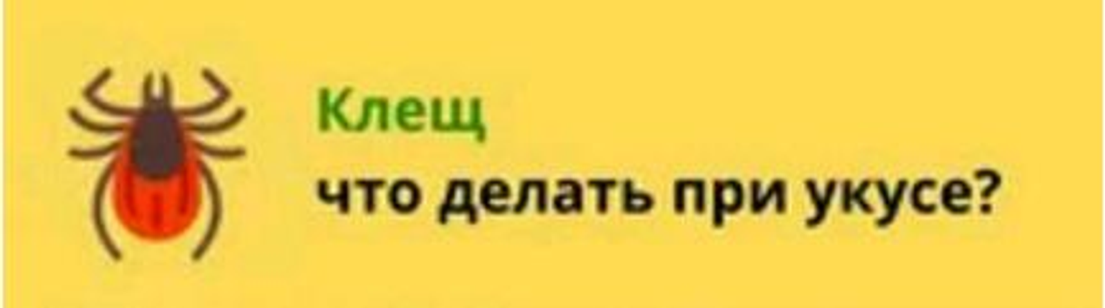 Клещи: профилактика и действия при укусе
