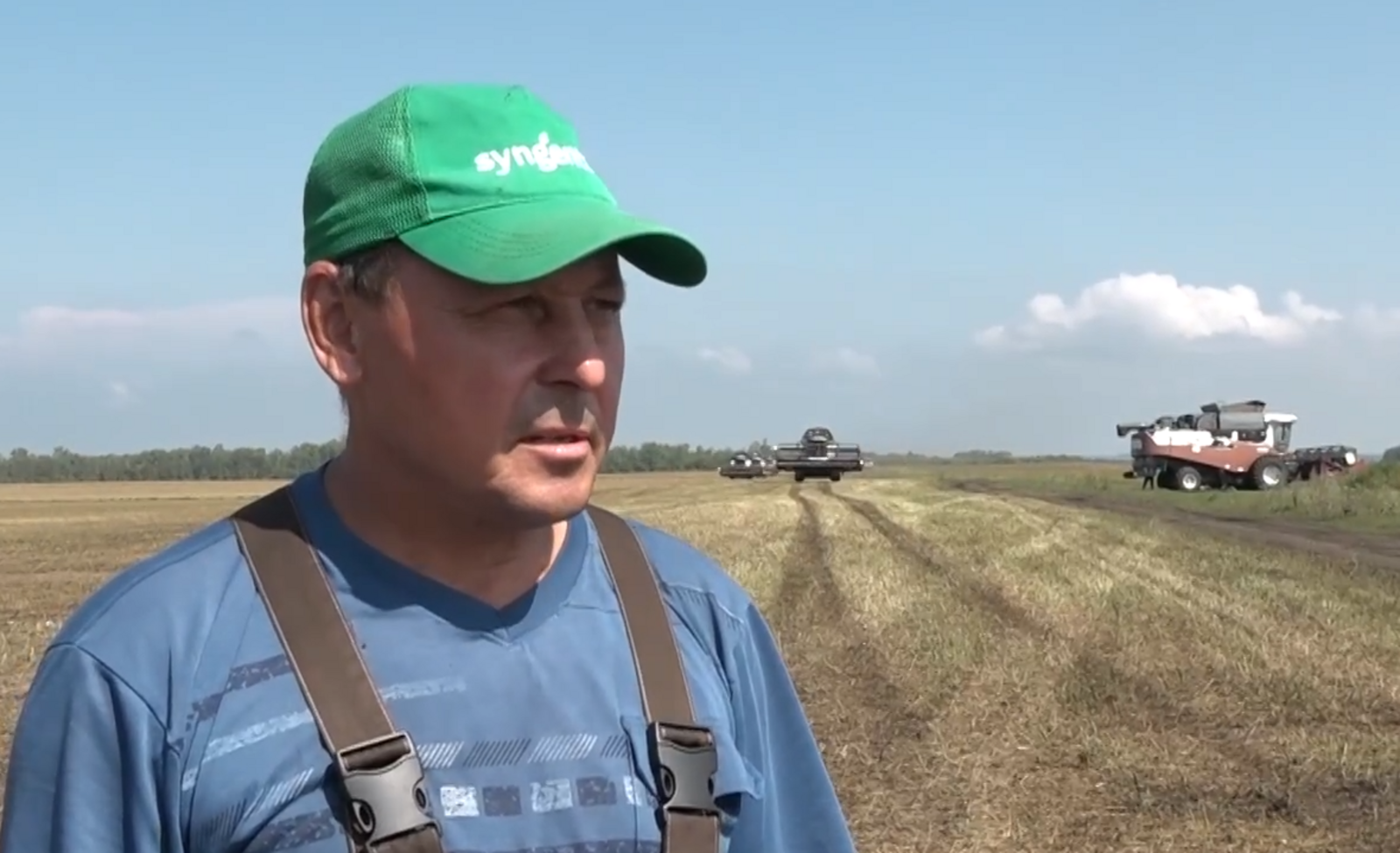 Жатва в разгаре