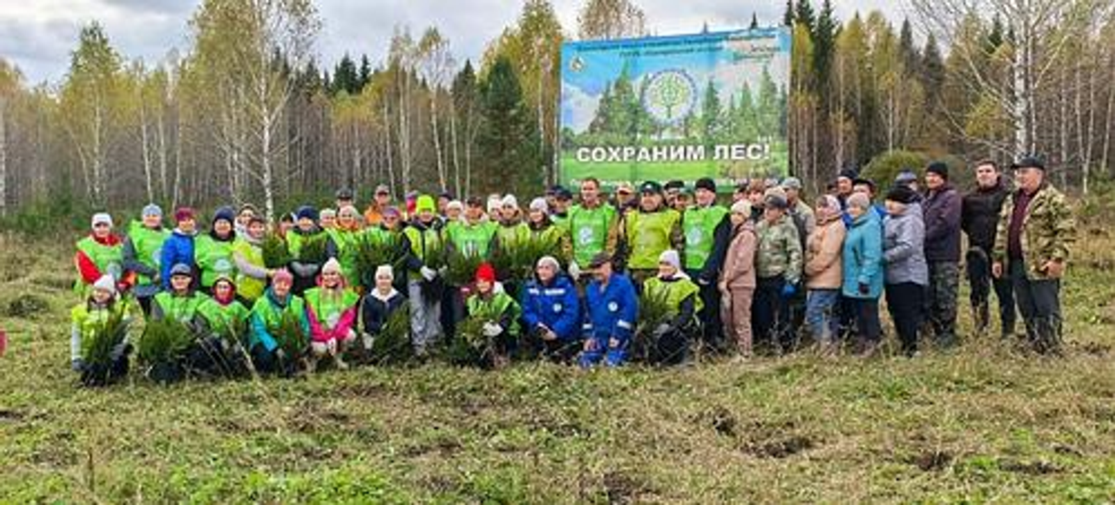 Жители Башкортостана стали самыми активными участниками акции «Сохраним лес»