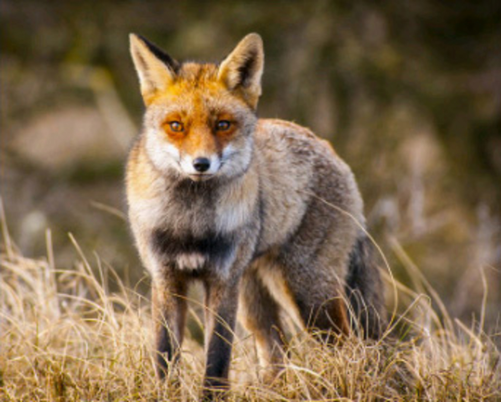 Уважаемые жители Кушнаренковского района!