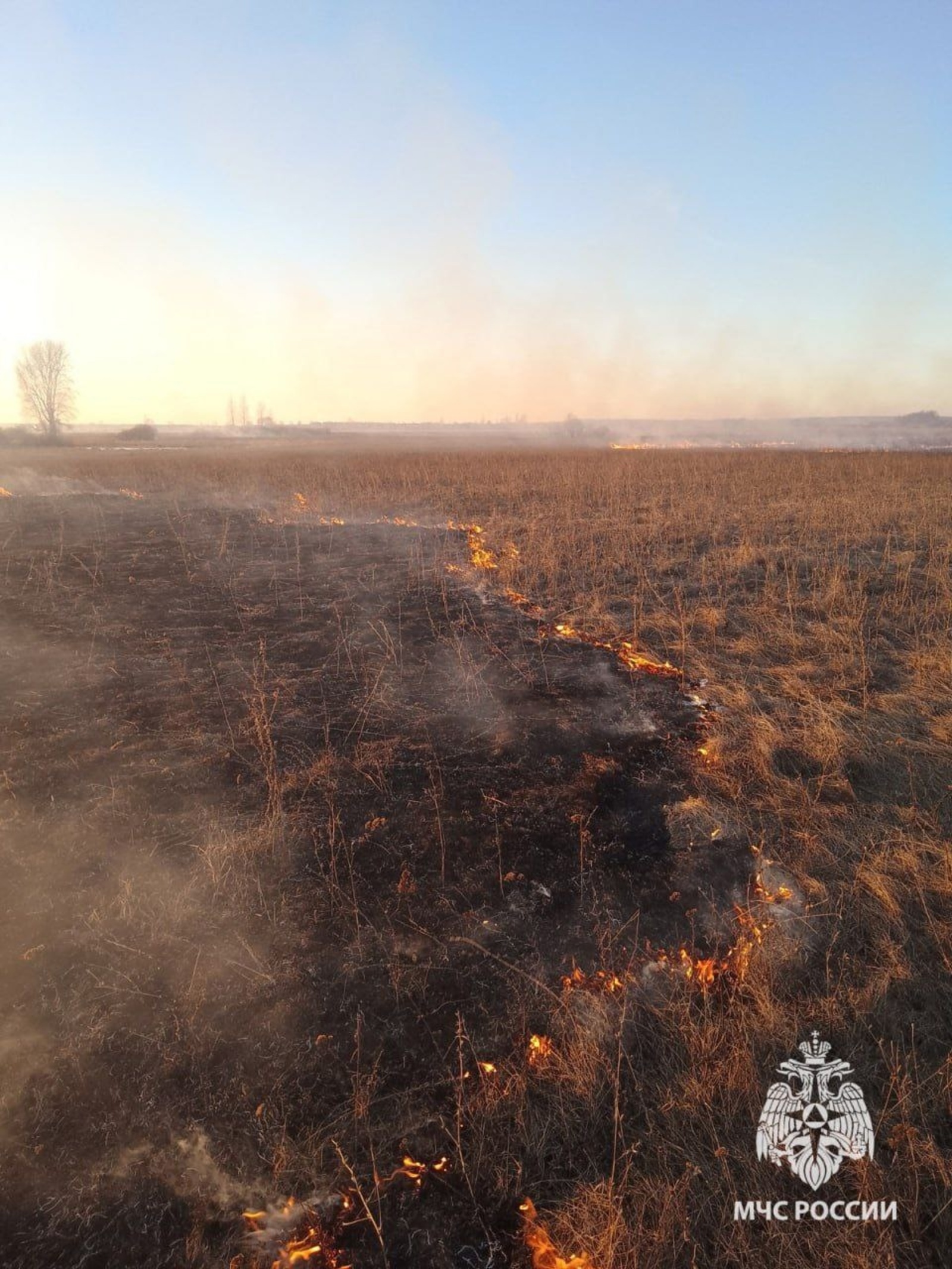 В республике половодье набирает обороты, а в Кушнаренково уже зарегистрирован ландшафтный пожар