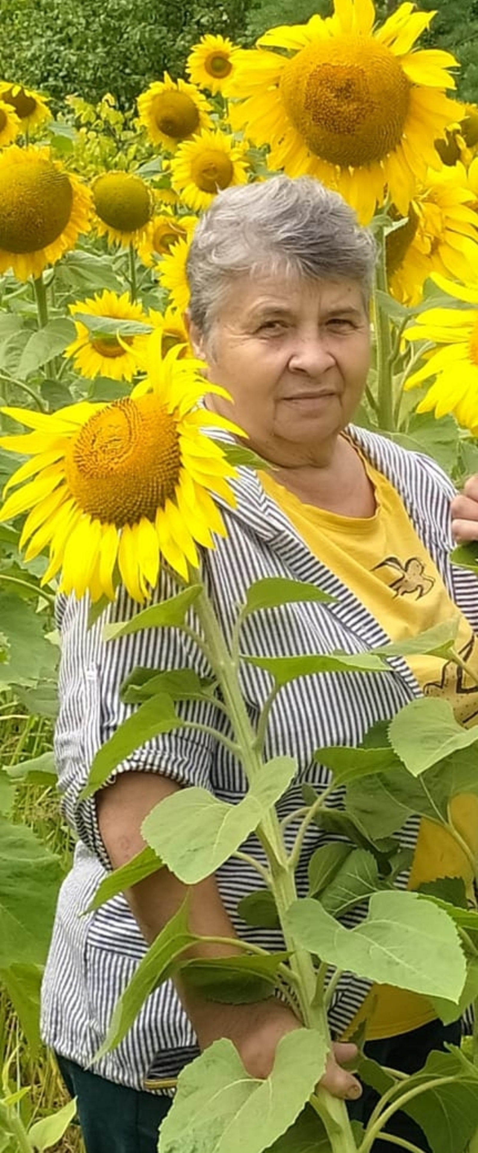 С наилучшими пожеланиями!