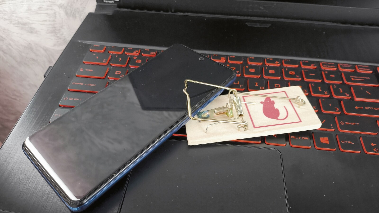 «Глобальная паутина»