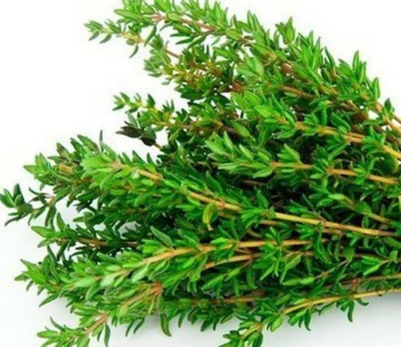 8 натуральных продуктов, уничтожающих паразитов в организме