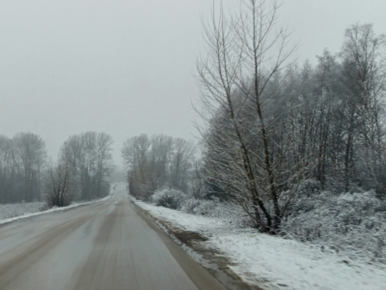 Весенние ловушки: повторяем правила для пешеходов!