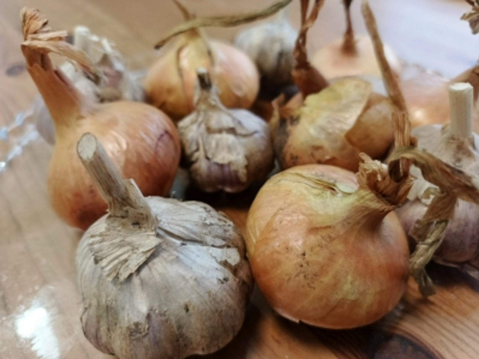 КАК ЗАЩИТИТЬ ЛУК ОТ ЛУКОВОЙ МУХИ