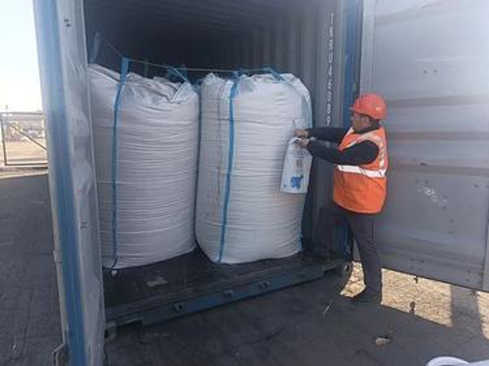 Башкортостан впервые экспортировал вКитай более 1 тыс. тонн овса