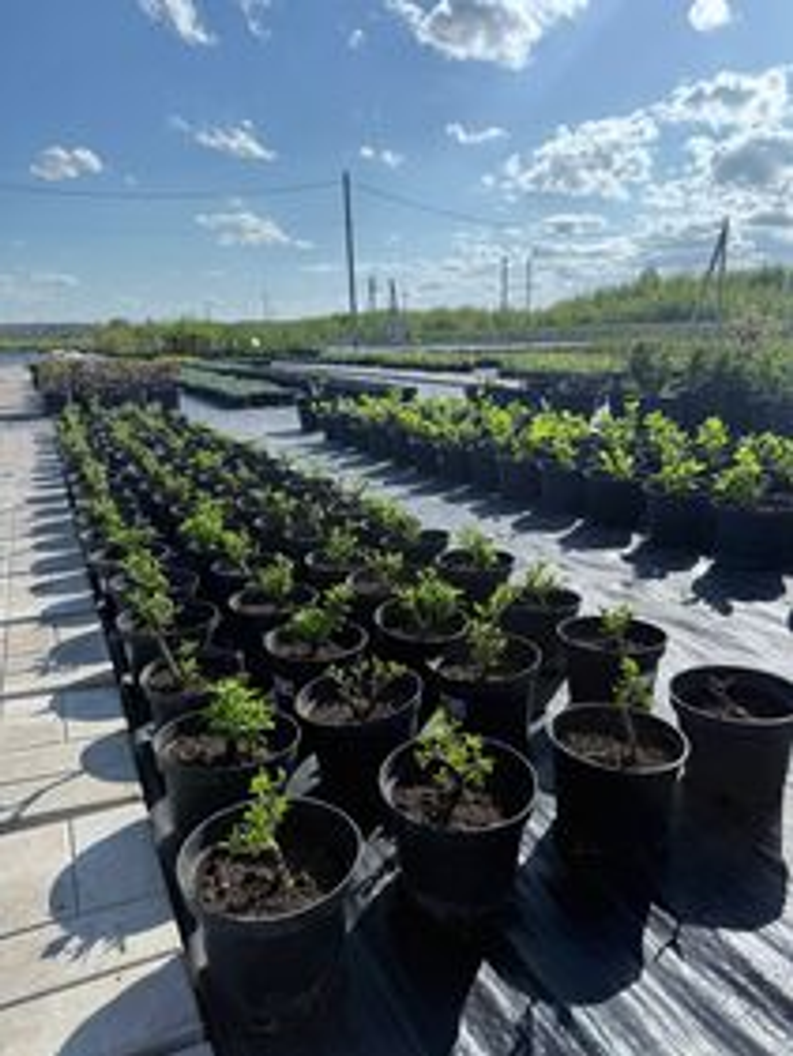 В Башкортостане предприниматель получил льготный займ на закупку материалов ...