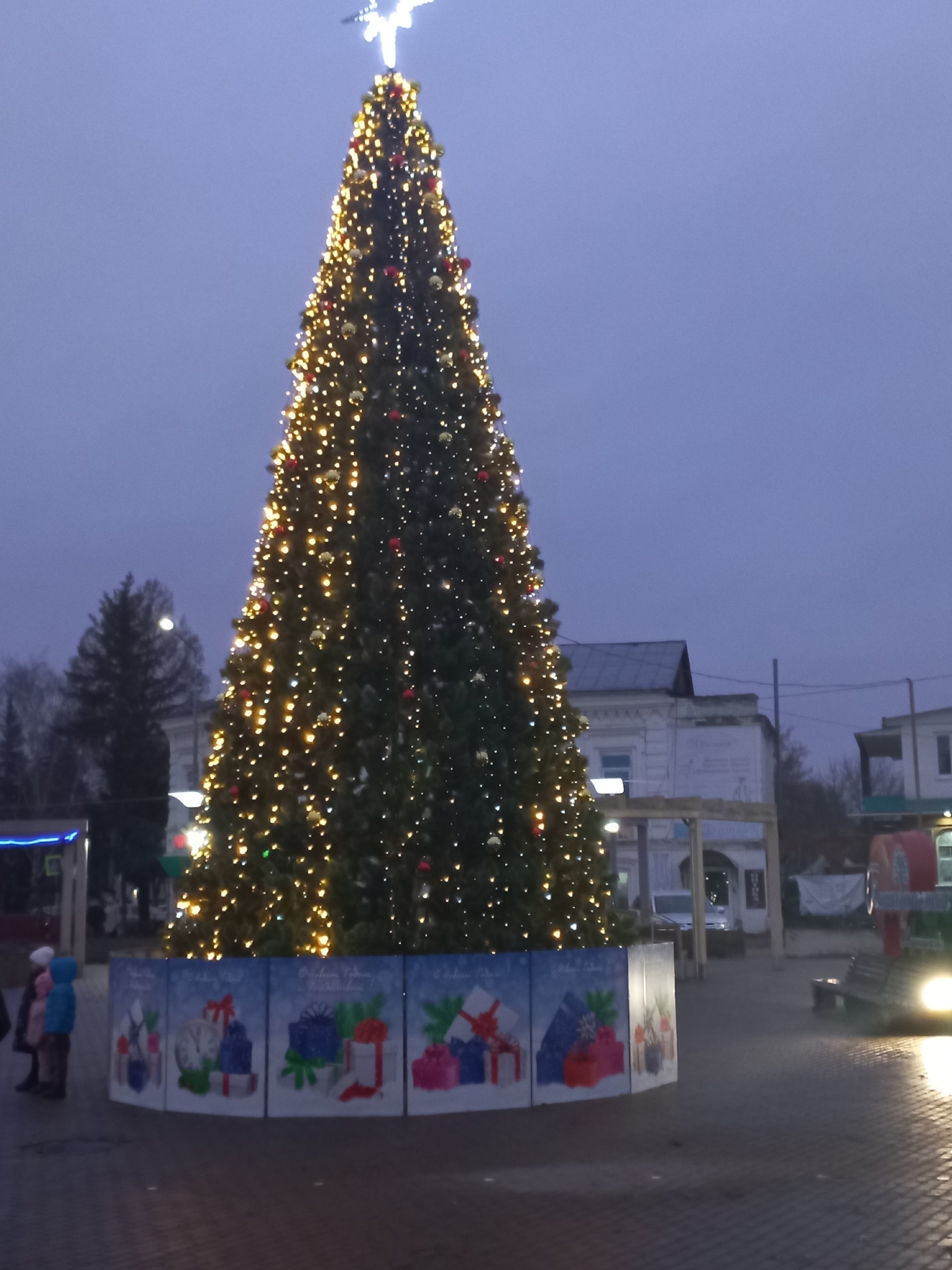Пушистая и стройная на праздник к нам пришла