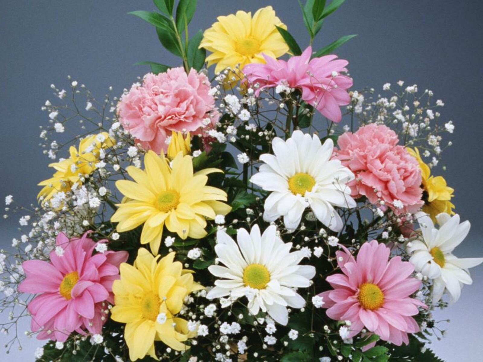 Пока мы едины –  мы не победимы