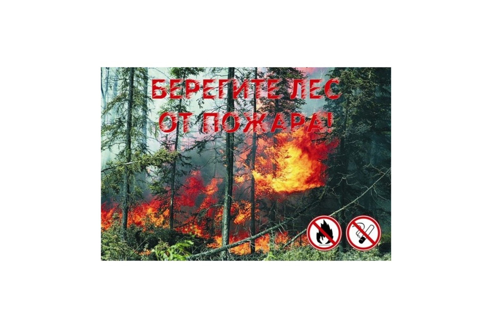 В Башкортостане продолжают действовать два локализованных очага лесных пожаров