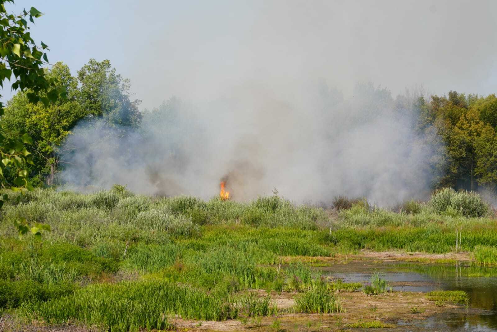 Произошло горение сухой травы на общей площади 0,3 га  на территории Старокамышлинского сельсовета возле озера «Книш»