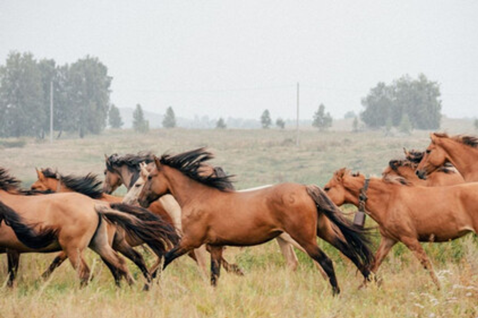 В Башкортостане 39 человек выиграли грант «Агростартап»
