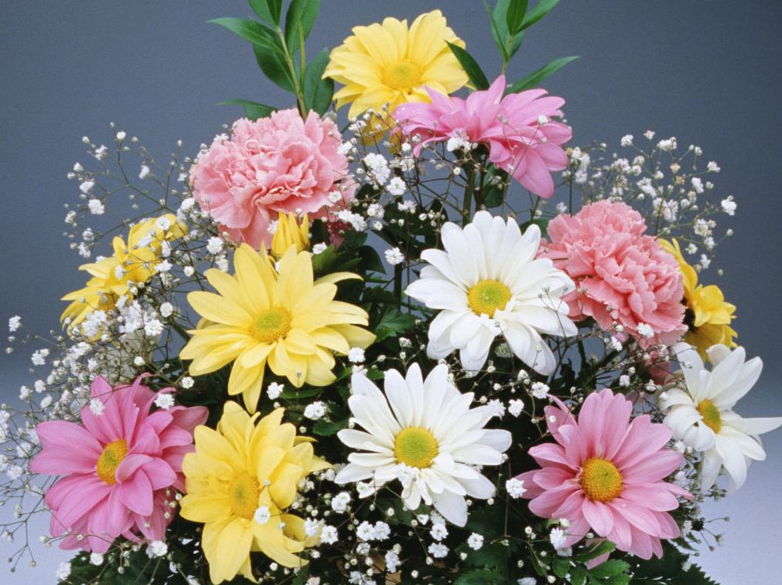 Успехов в работе и свершений!