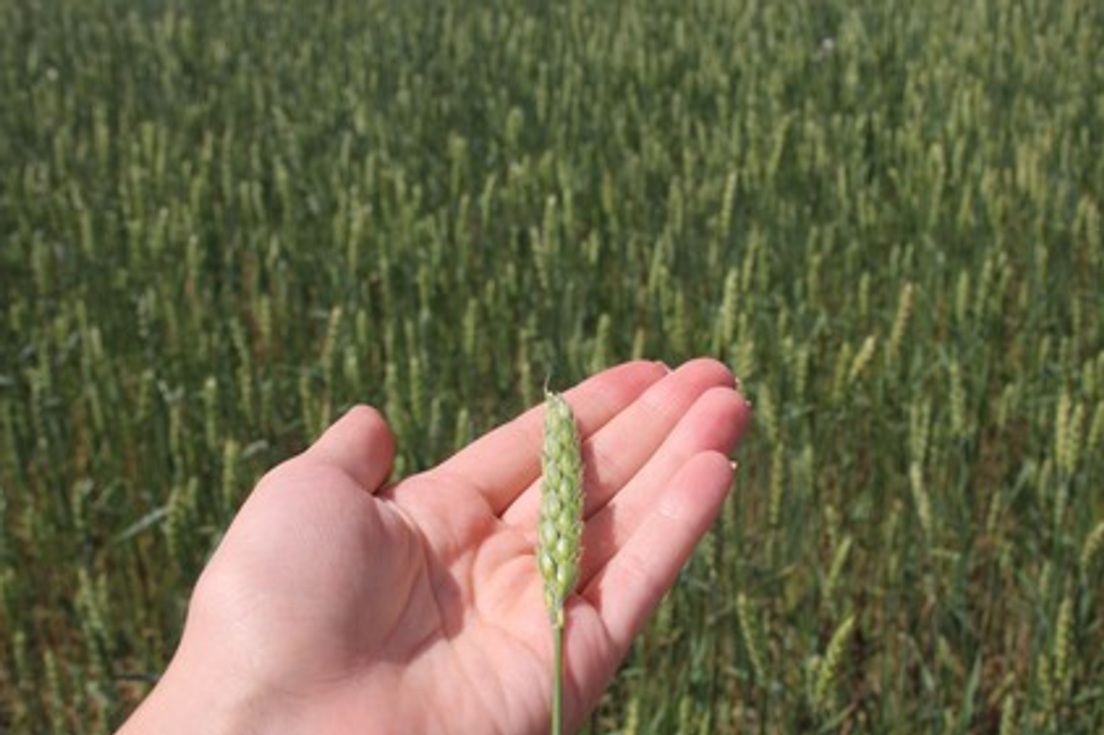 Производитель биопрепаратов из Башкортостана впервые экспортировал продукцию