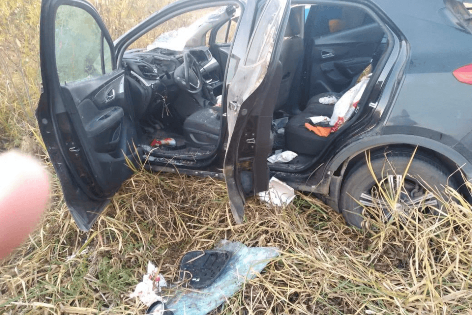 В Дюртюлинском районе водитель пострадал в результате ДТП с диким животным