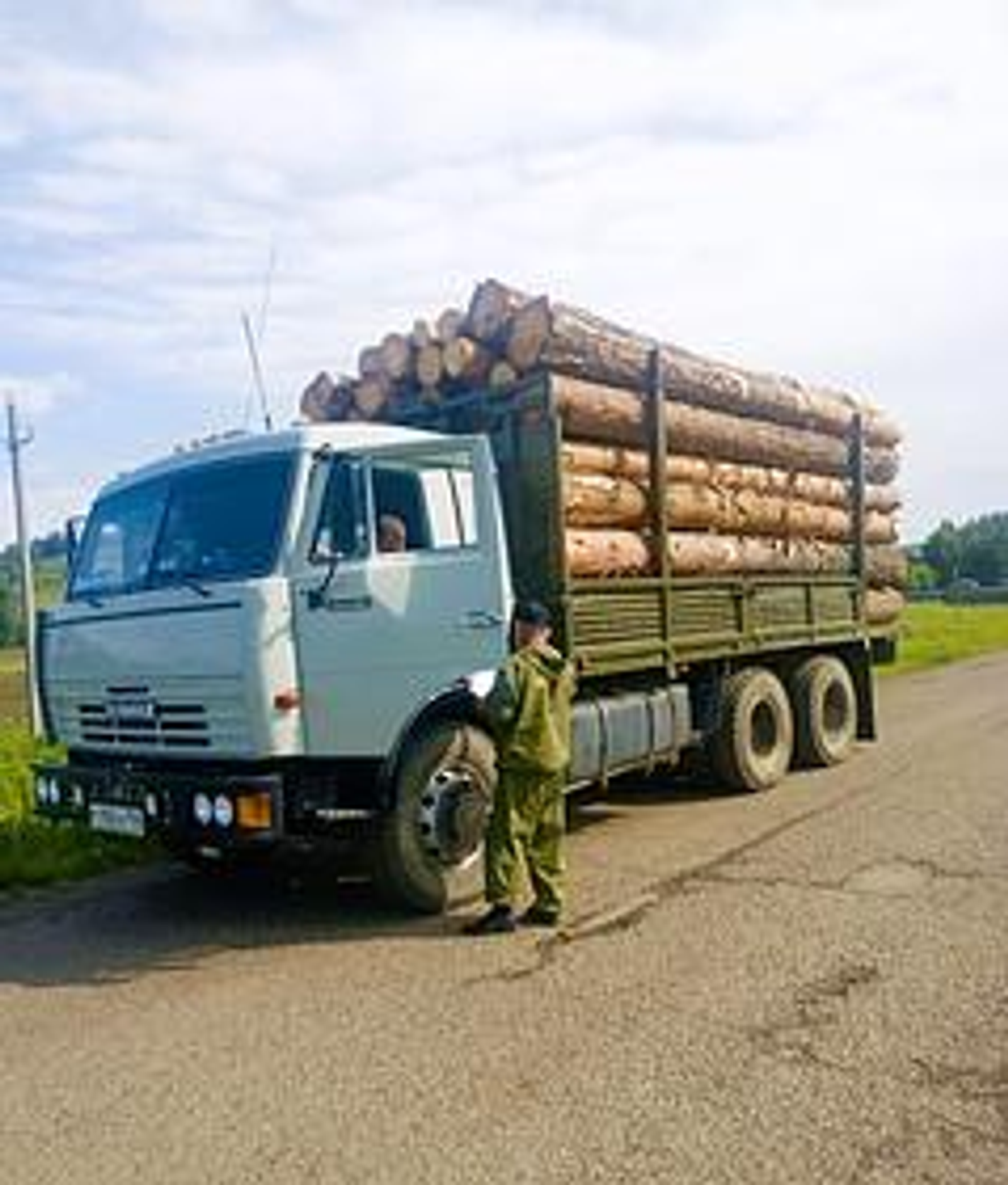 В Башкортостане объем незаконно заготовленного леса снизился на 17 %